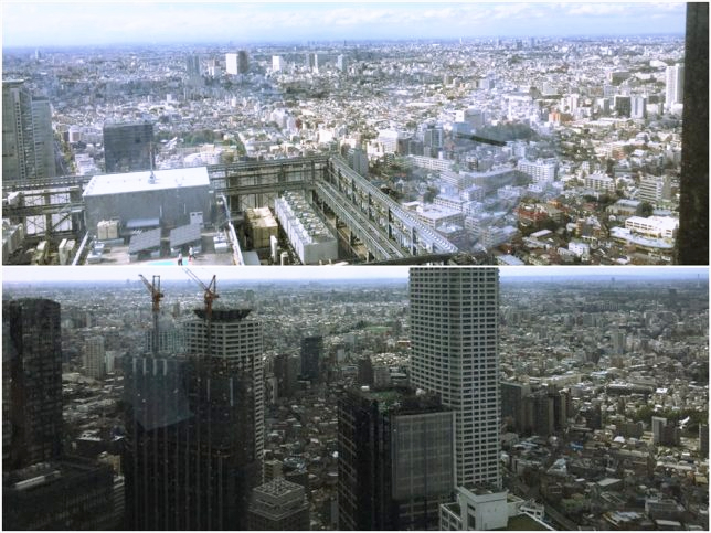 オフィスからみた景色